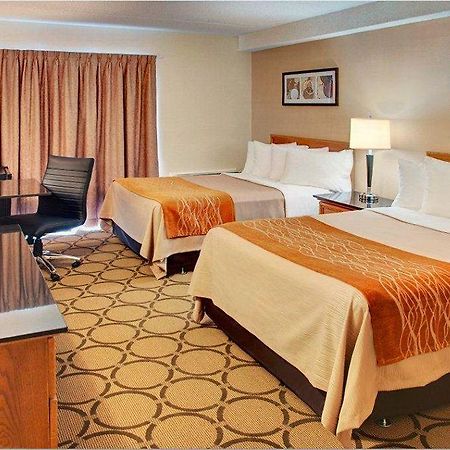 Comfort Inn Sydney Ngoại thất bức ảnh